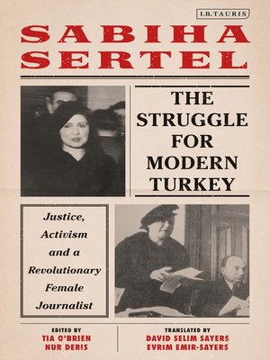cover image of The Struggle for Modern Turkey